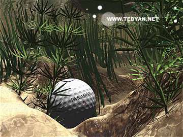 گالري عکس ورزشي